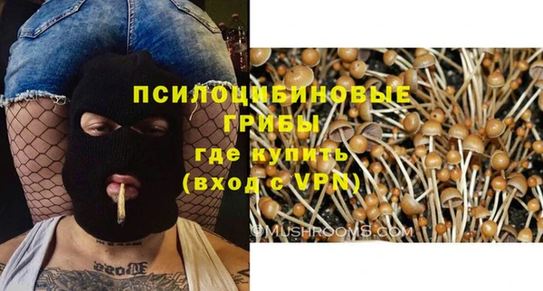 спиды Иннополис