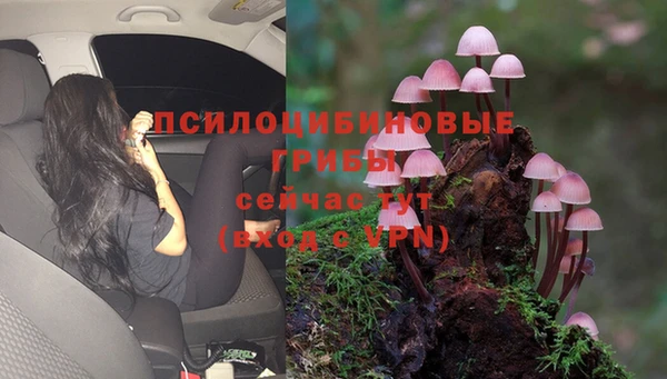 хмурый Инсар