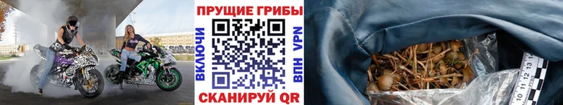 Псилоцибиновые грибы ЛСД Приволжск